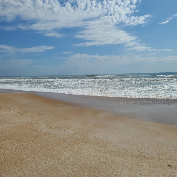 Meet your Posher, Annette - Picture 12 of 15